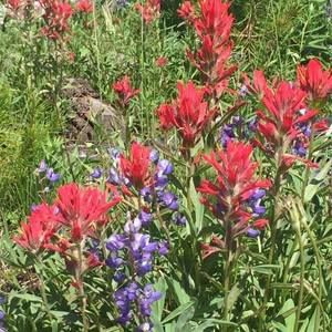 Meet your Posher, Glenda